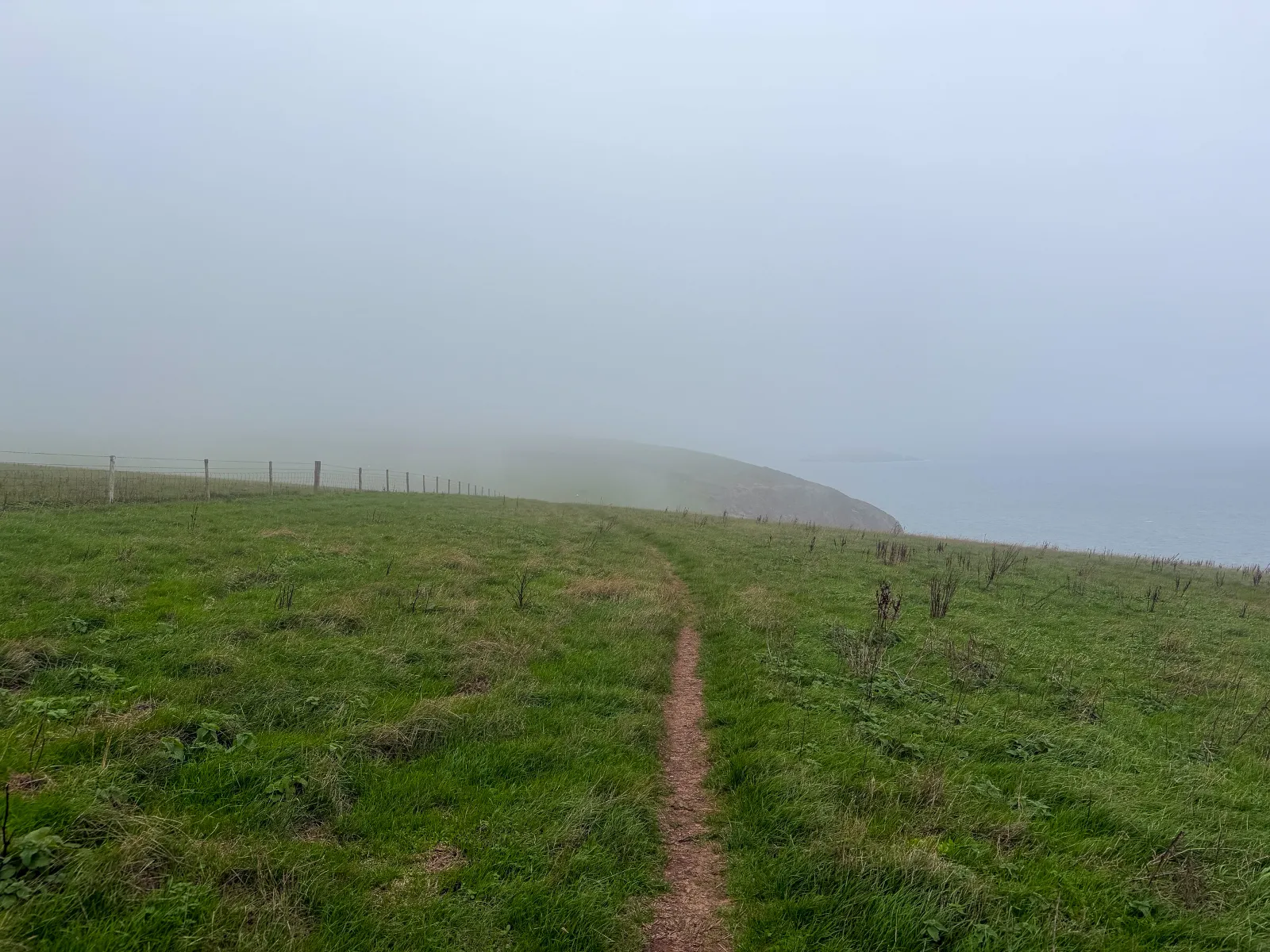 Photo at Mothecombe, South Hams