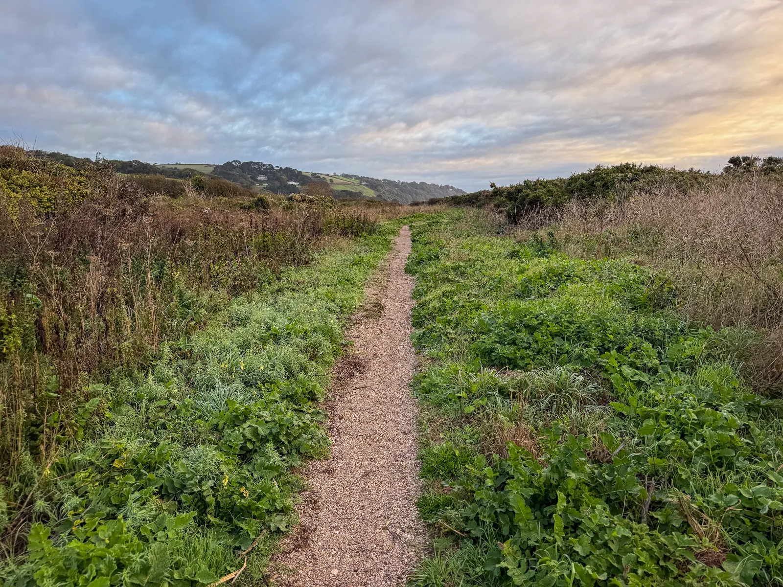 Photo at Slapton, South Hams