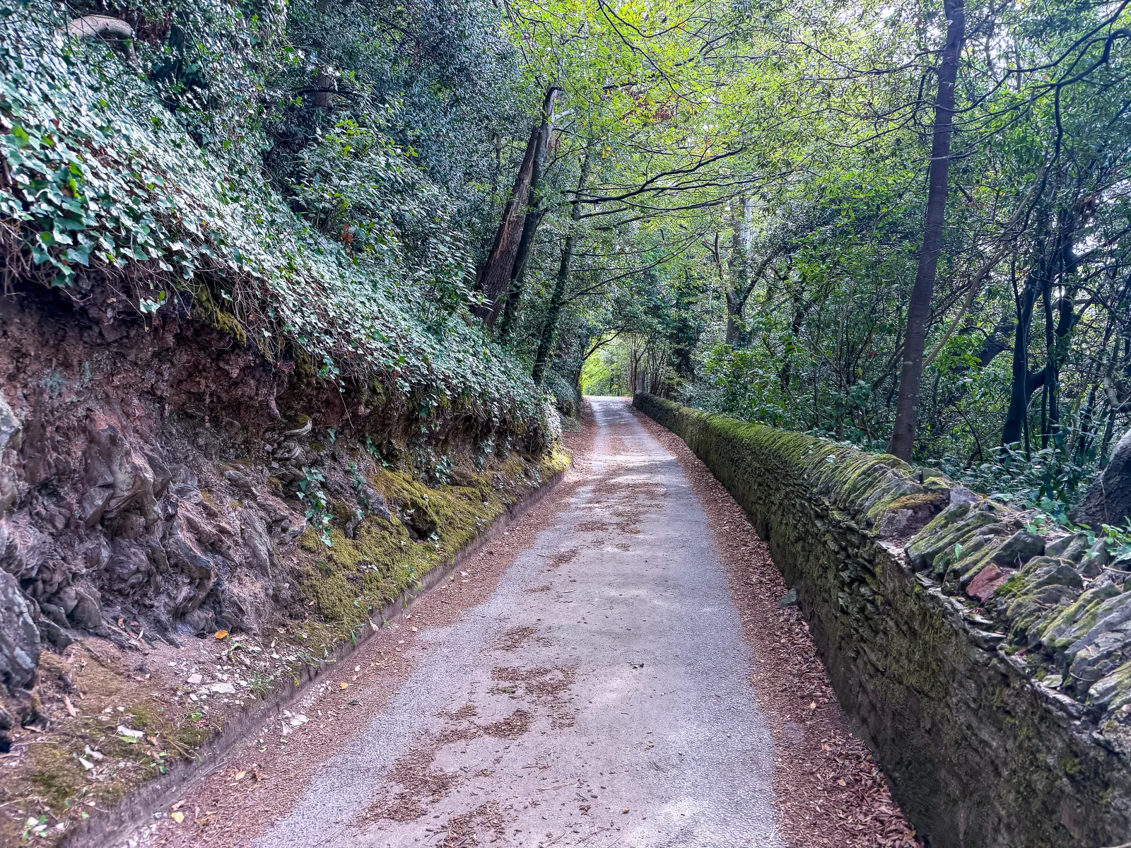 Photo at Dartmouth, South Hams