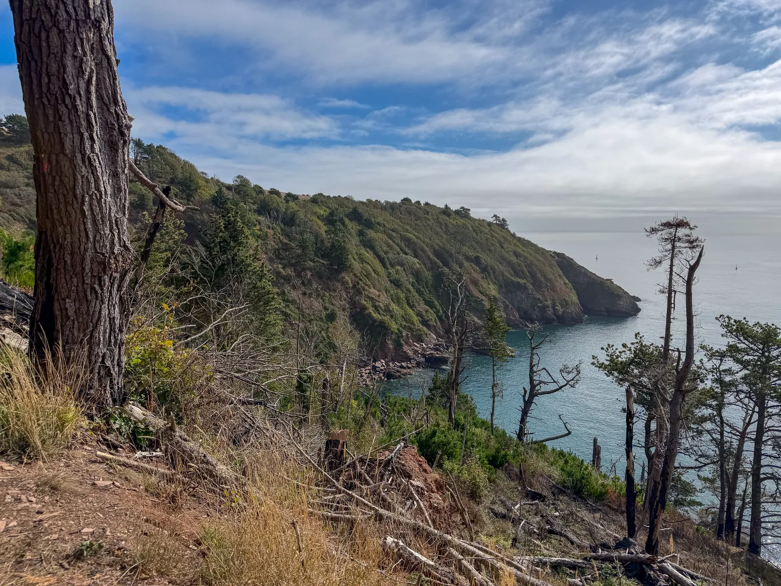 Photo at Kingswear, South Hams