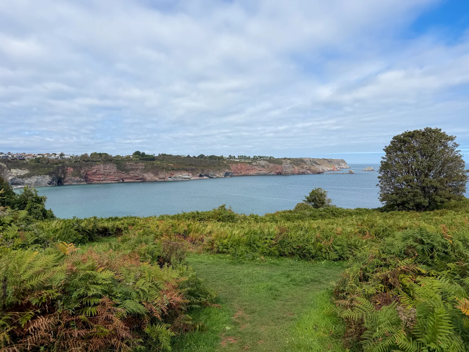 Photo at near Berry Head, Brixham