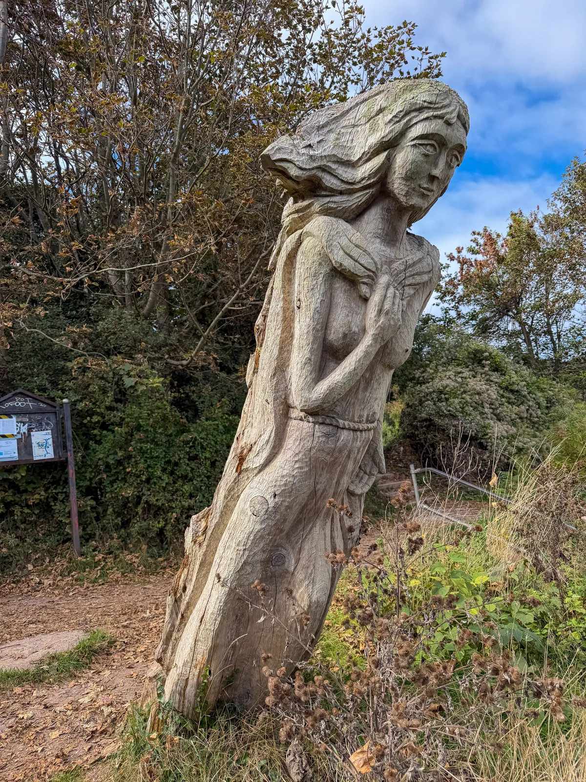 Photo at near Berry Head, Brixham