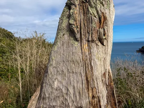 Photo at near Berry Head