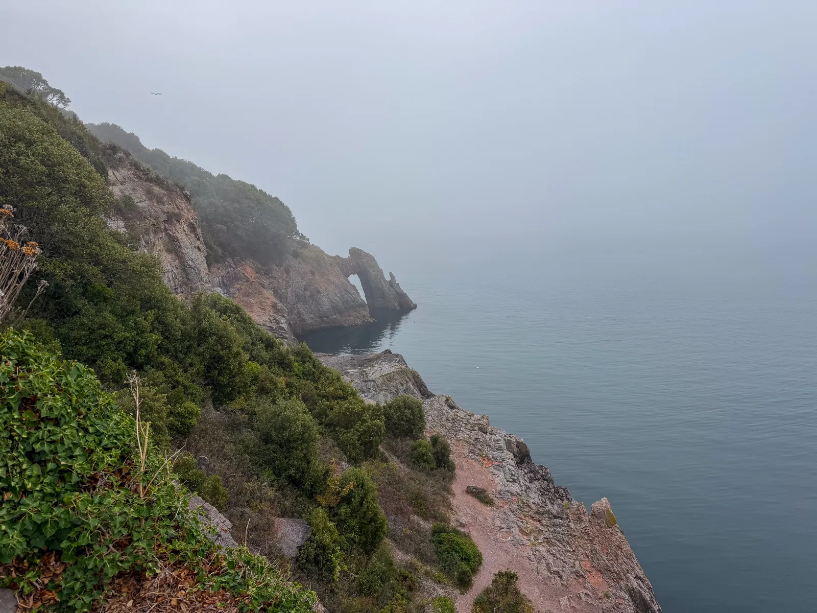 Photo at Meadfoot, Torquay