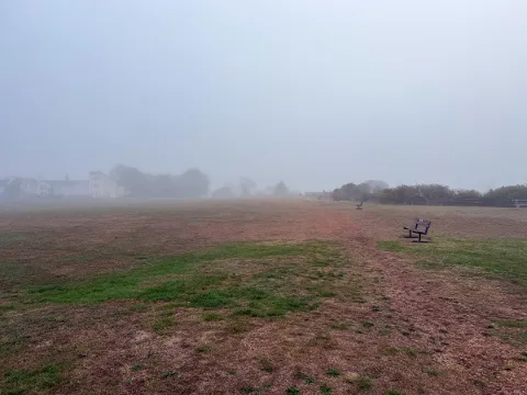Photo at Meadfoot