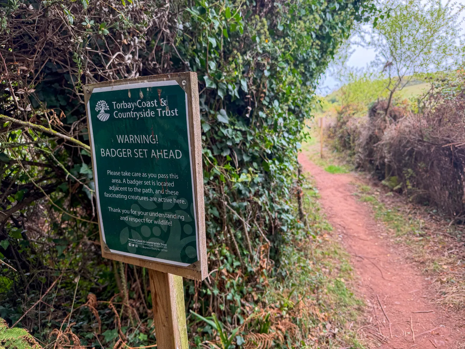 Photo at near Shaldon