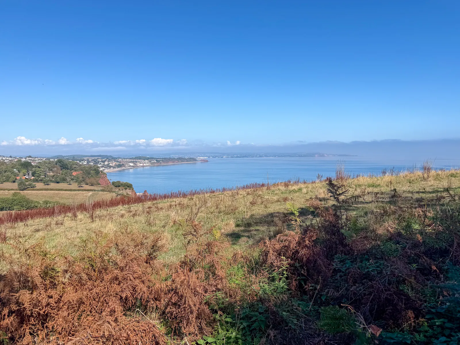 Photo at Holcombe, Dawlish