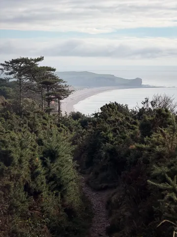 Photo at Budleigh Salterton