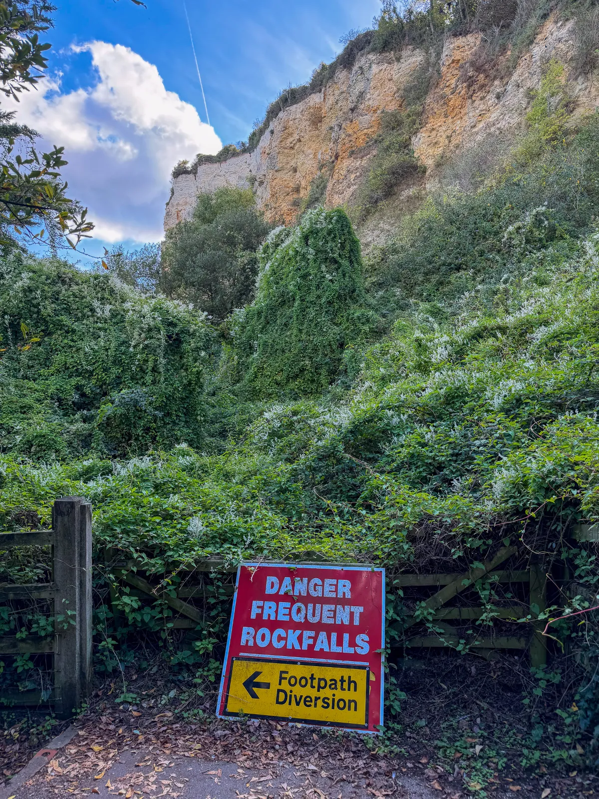 Photo at Beer, Seaton