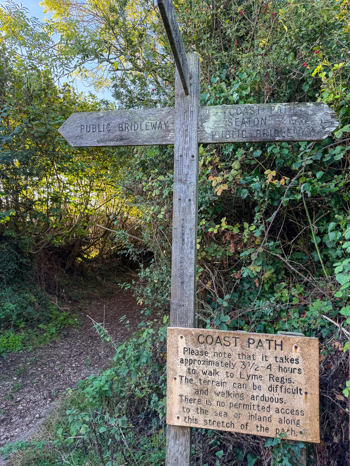 Photo at Axmouth, East Devon
