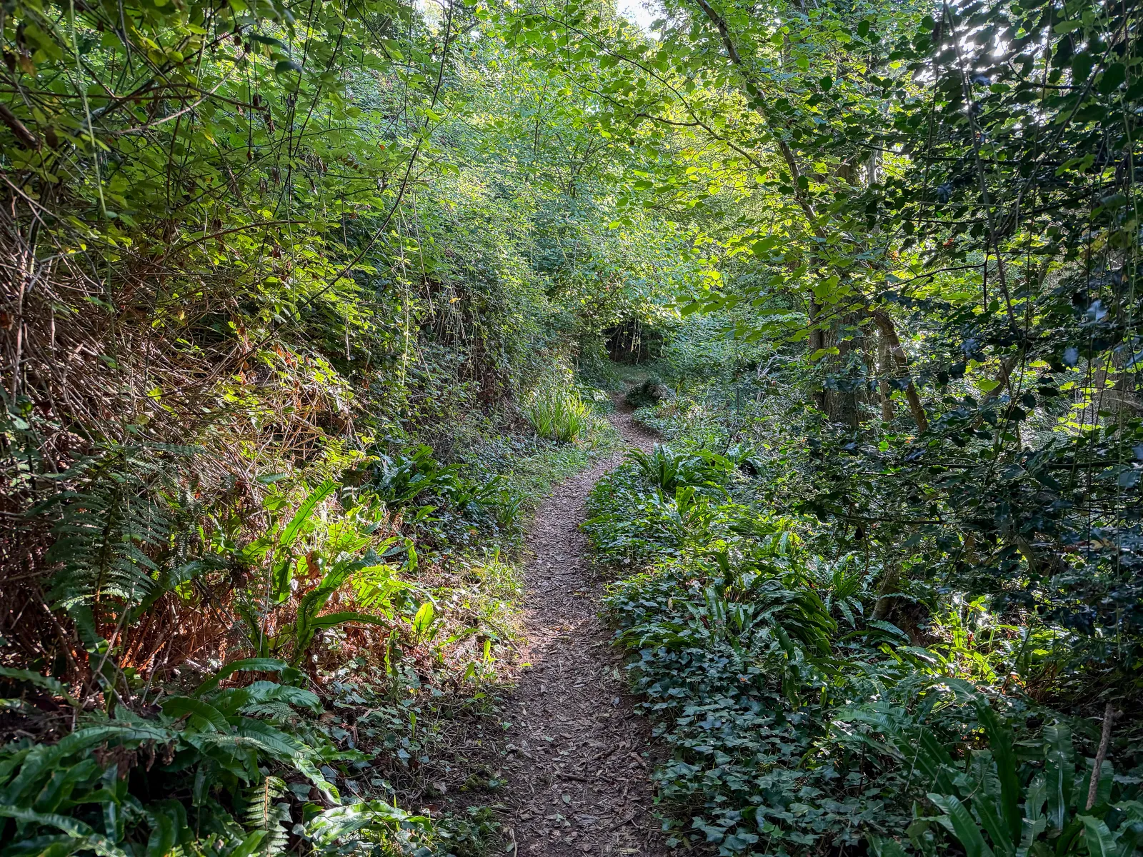 Photo at Axmouth, East Devon