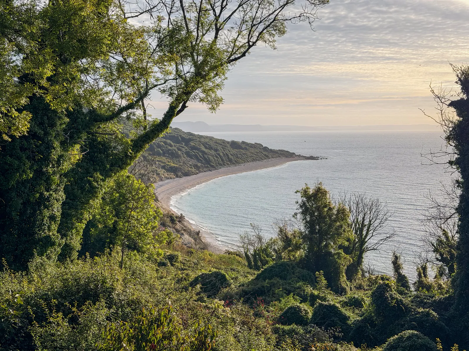 Photo at The Undercliff, East Devon