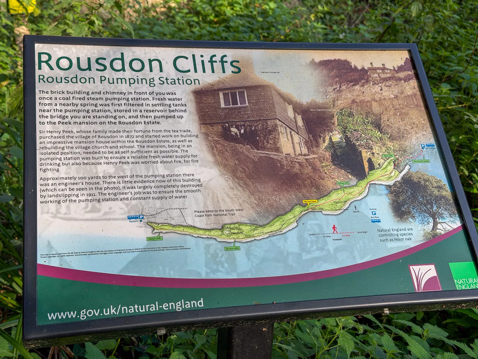 Photo at The Undercliff, East Devon