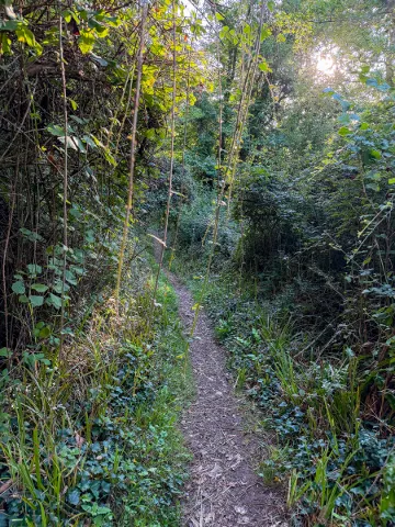 Photo at The Undercliff