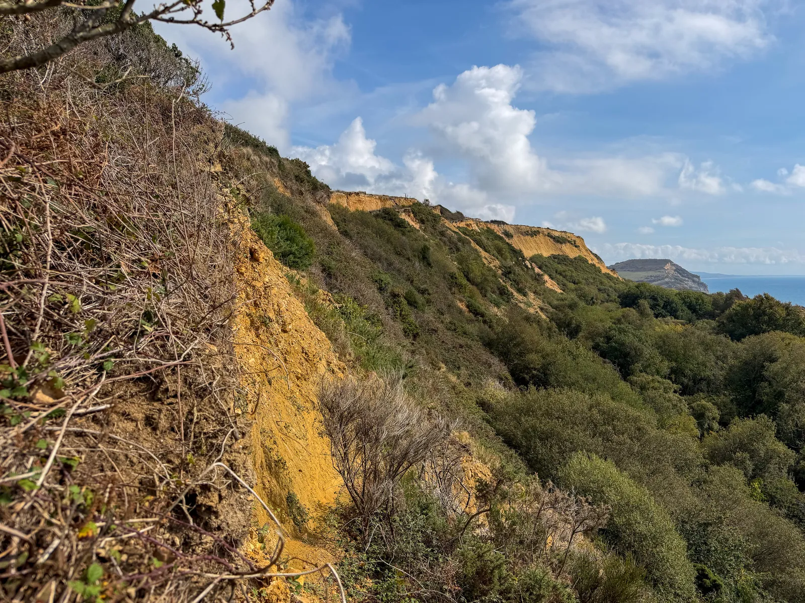 Photo at Charmouth