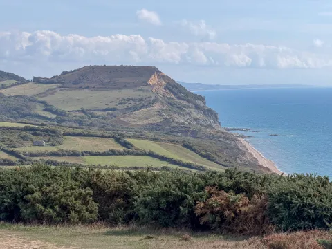 Photo at Charmouth