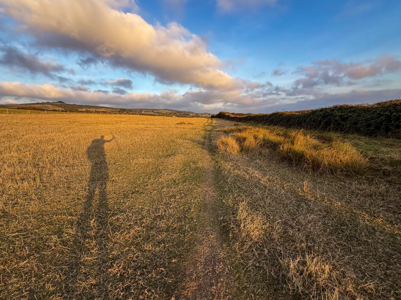 Photo at near West Bexington