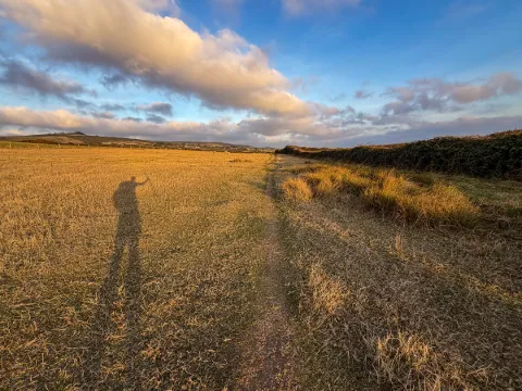 Photo at near West Bexington