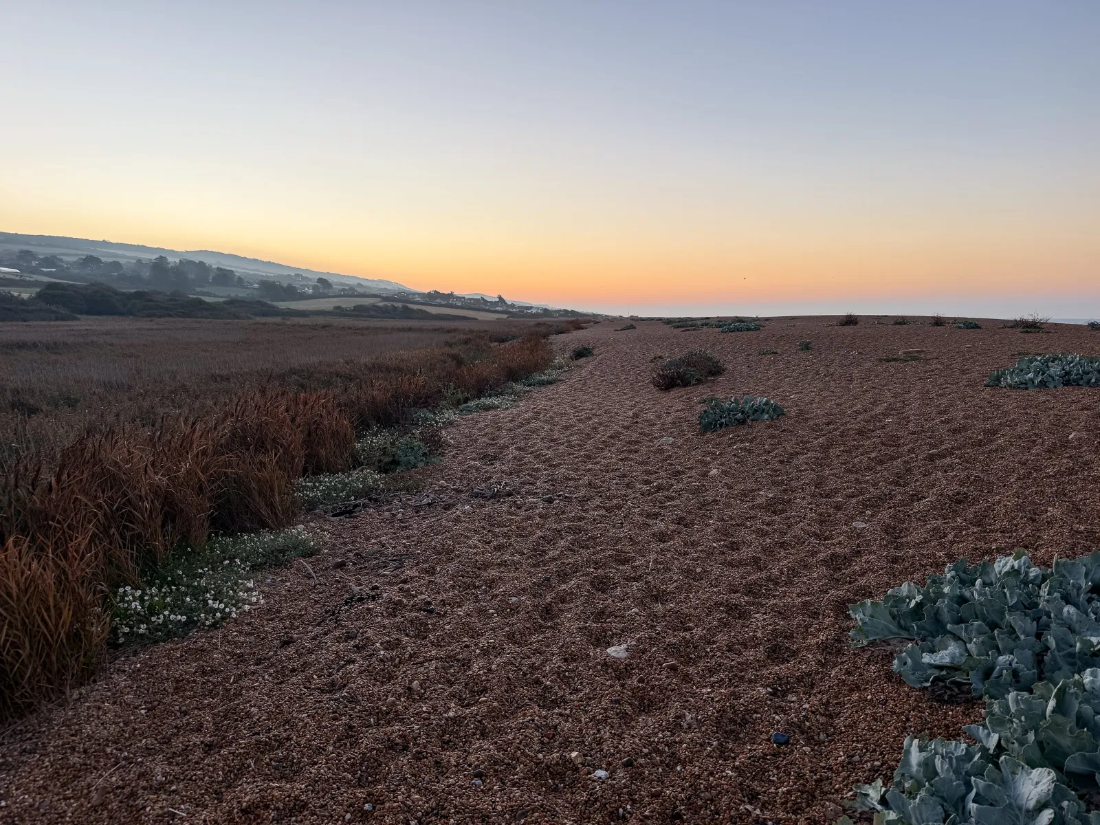 Photo at West Bexington