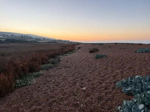 Photo at West Bexington