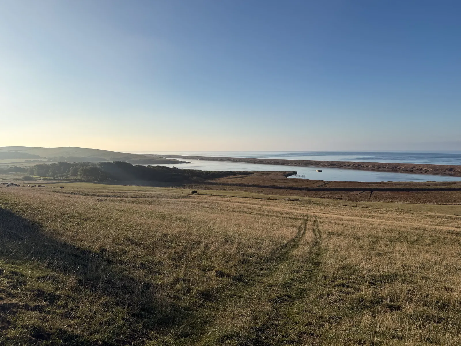 Photo at Abbotsbury