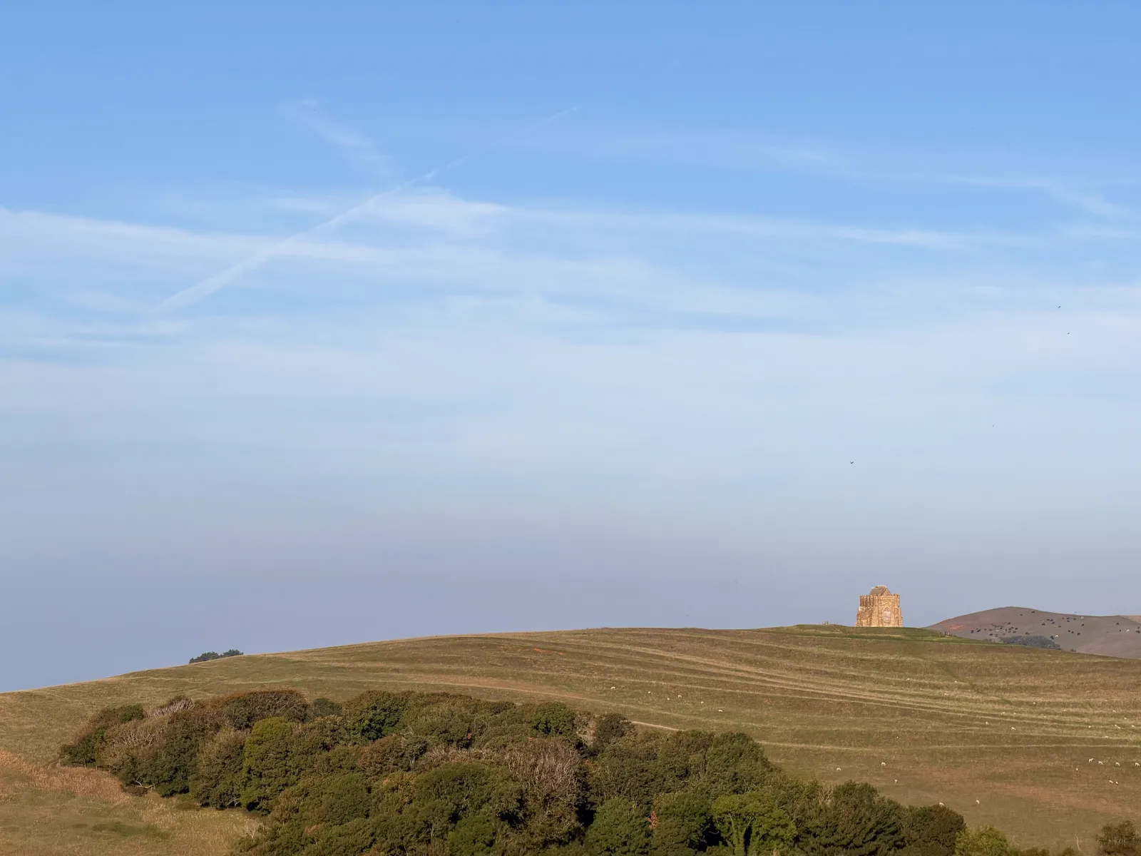 Photo at Abbotsbury