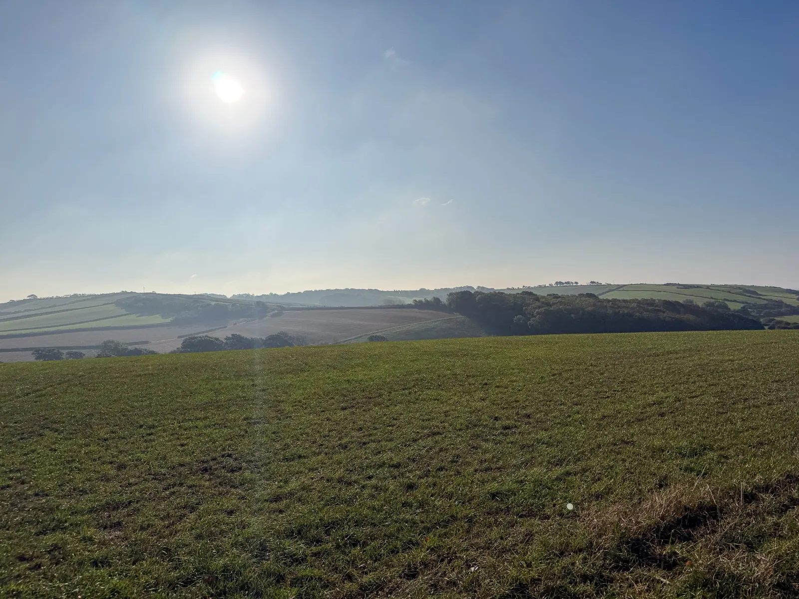 Photo at Chesil