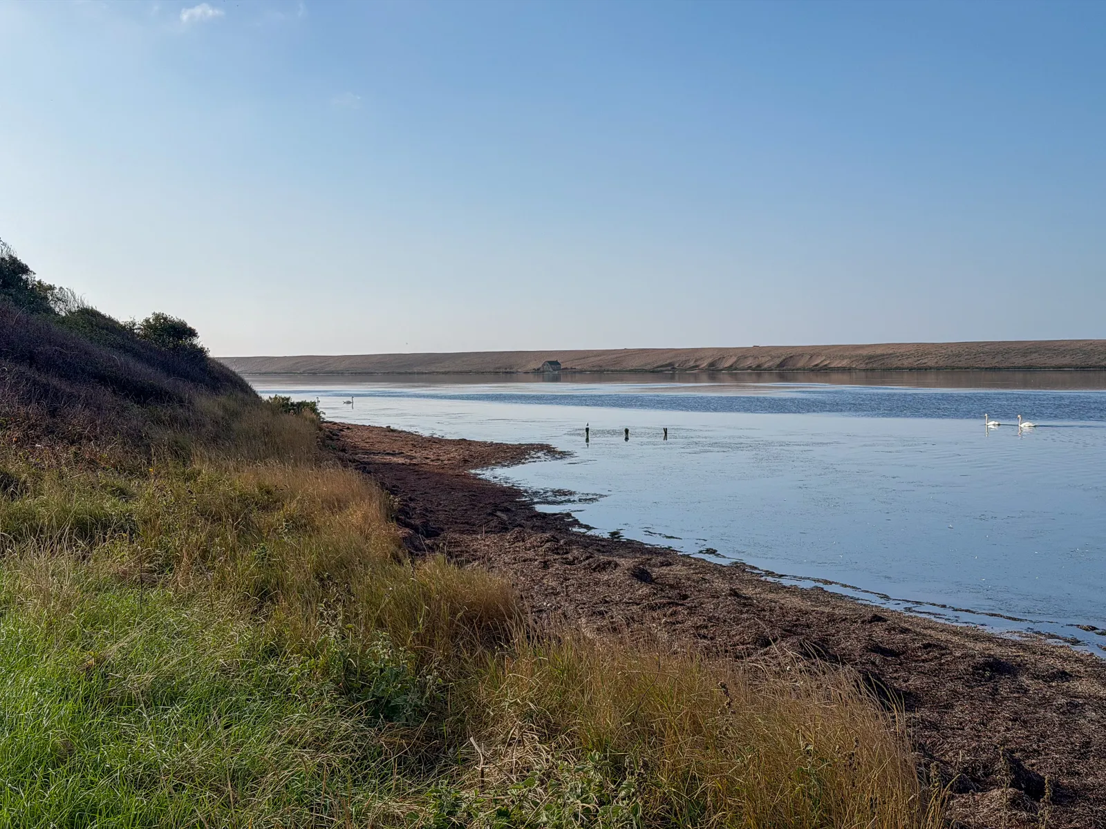 Photo at Langton Herring