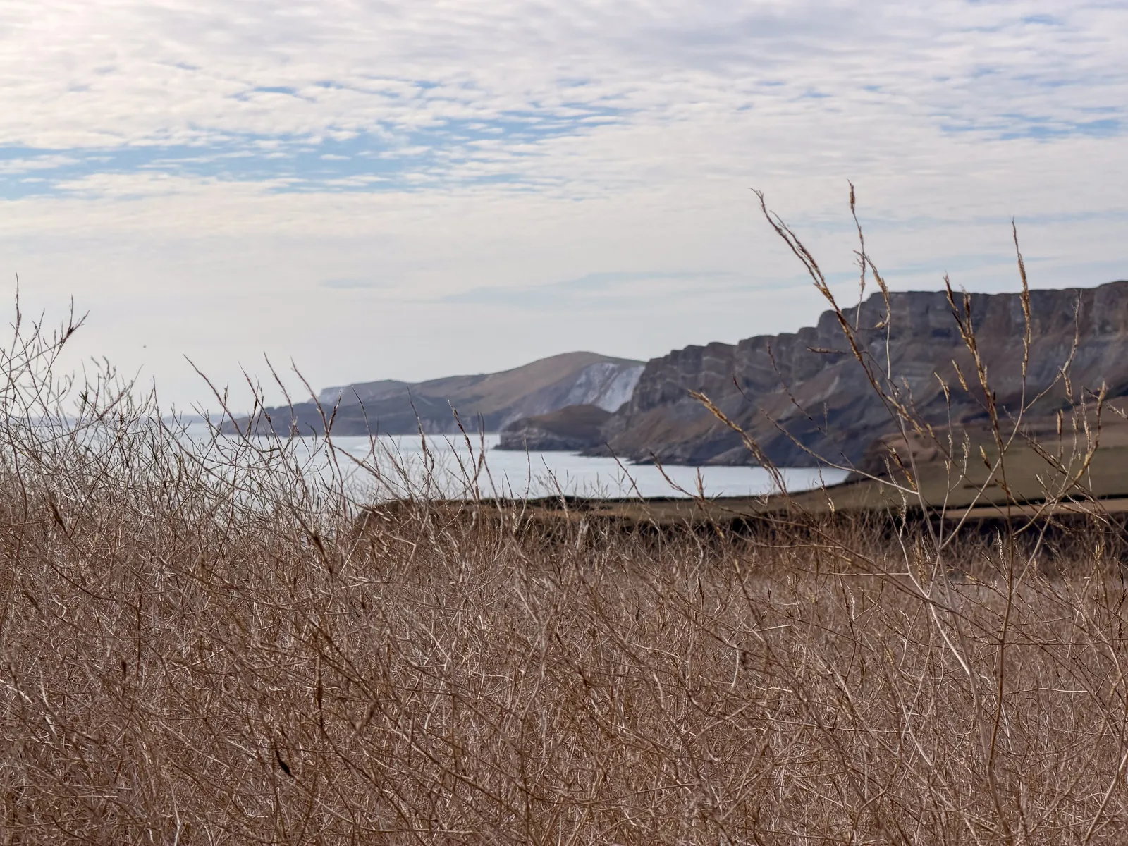Photo at Kimmeridge