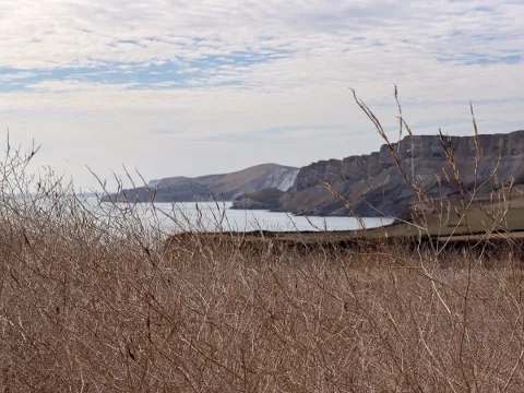 Photo at Kimmeridge