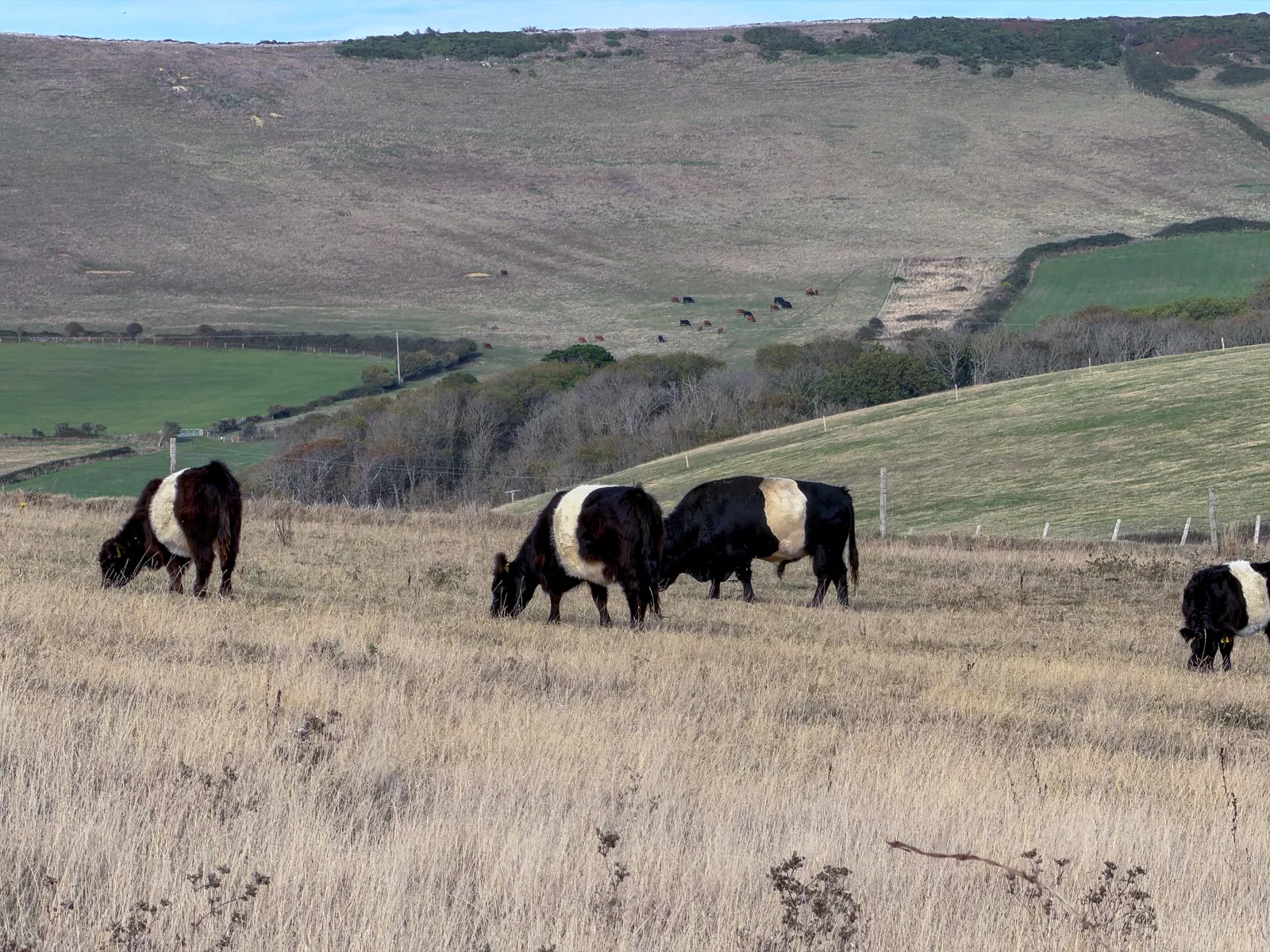 Photo at Kimmeridge