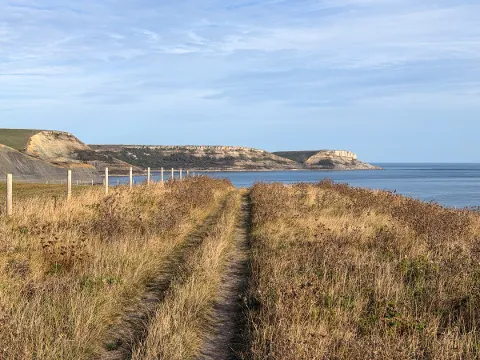 Photo at Kimmeridge