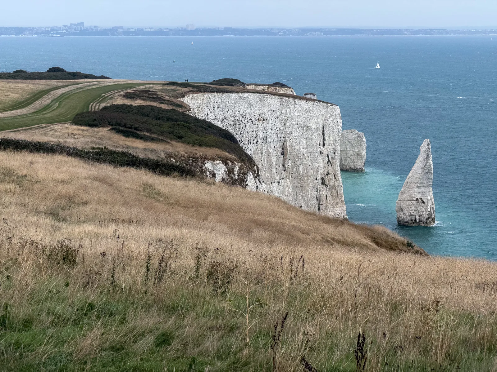 Photo at Studland