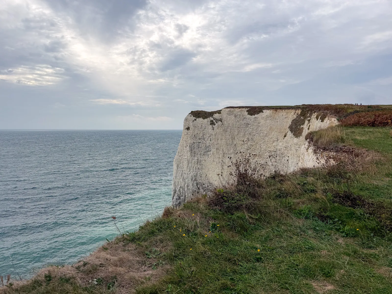 Photo at Studland
