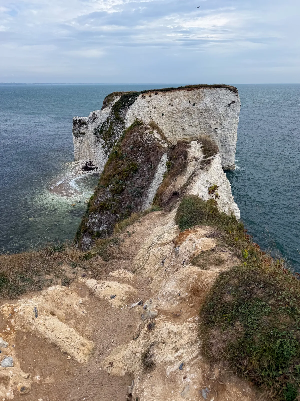Photo at Studland