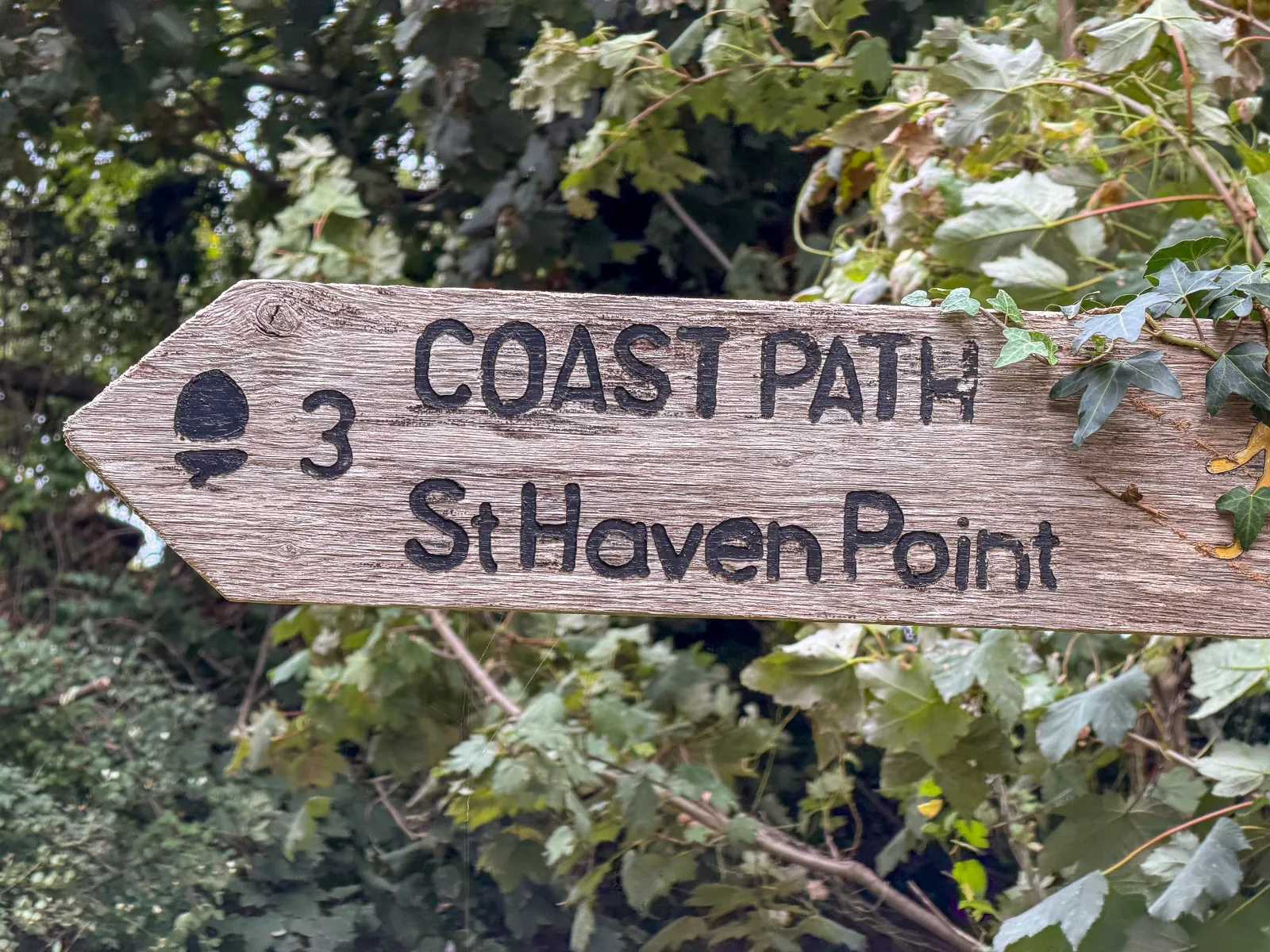 Photo at Studland