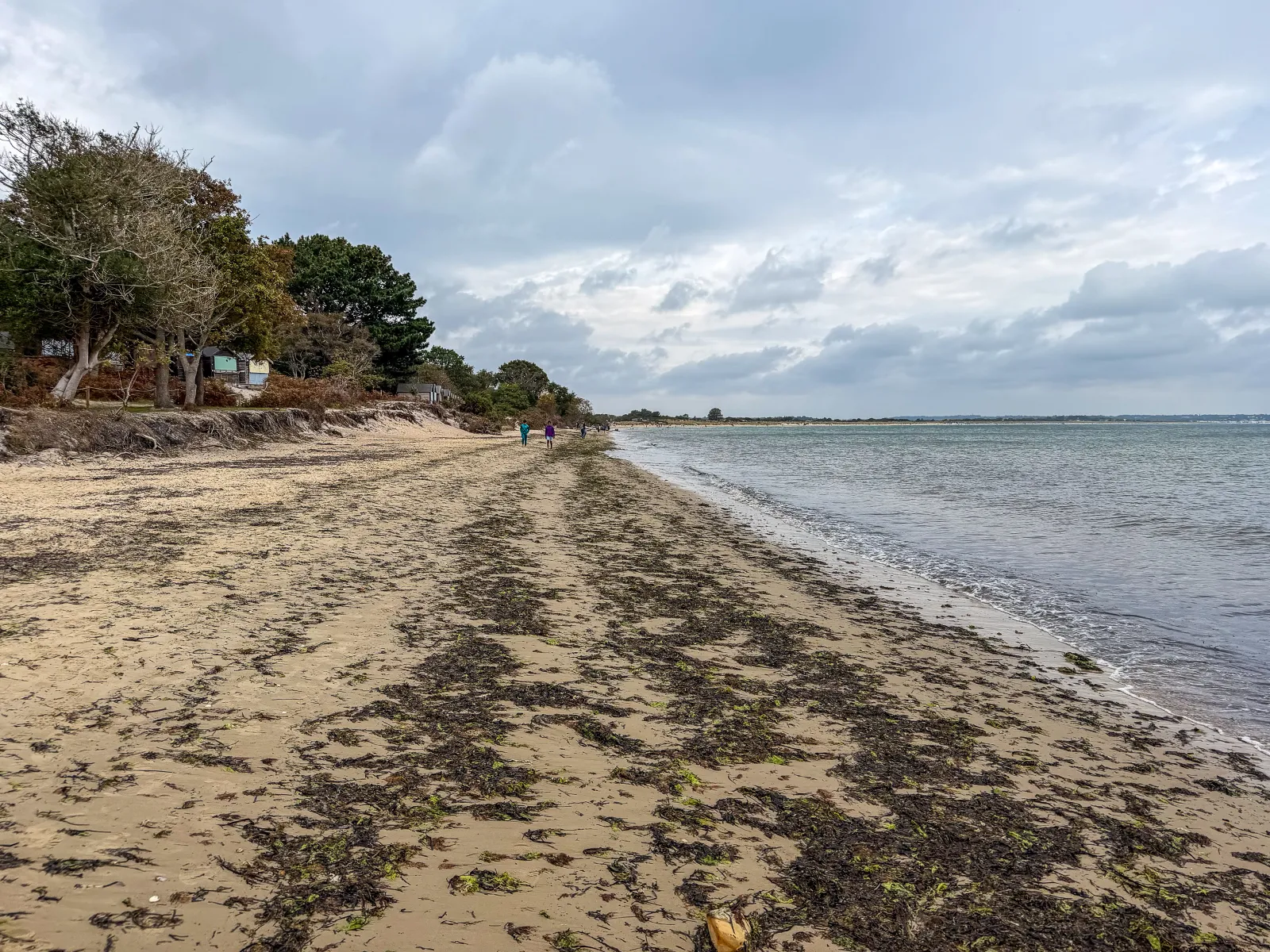 Photo at Studland