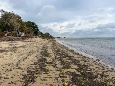 Photo at Studland
