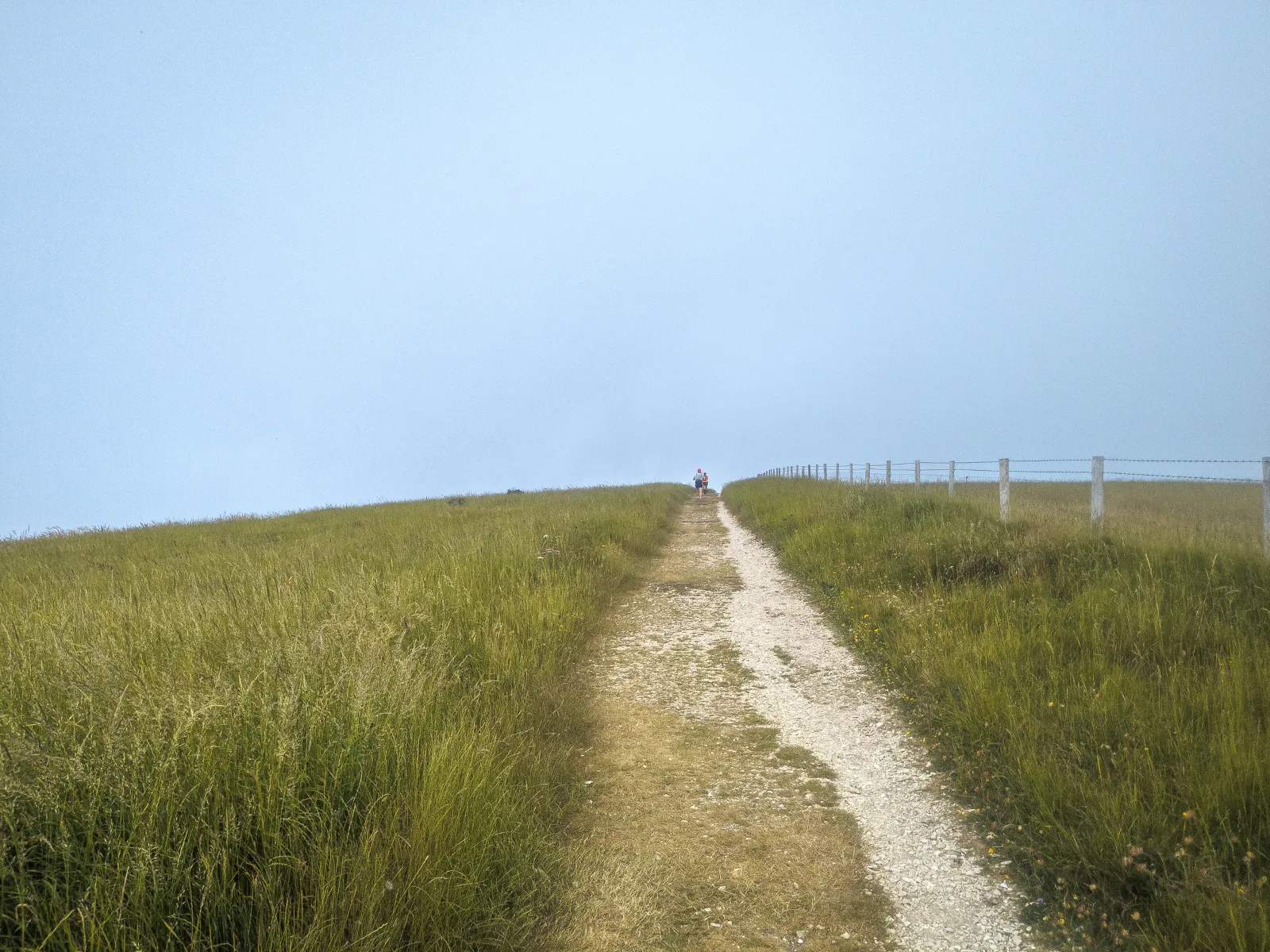 Photo at Studland