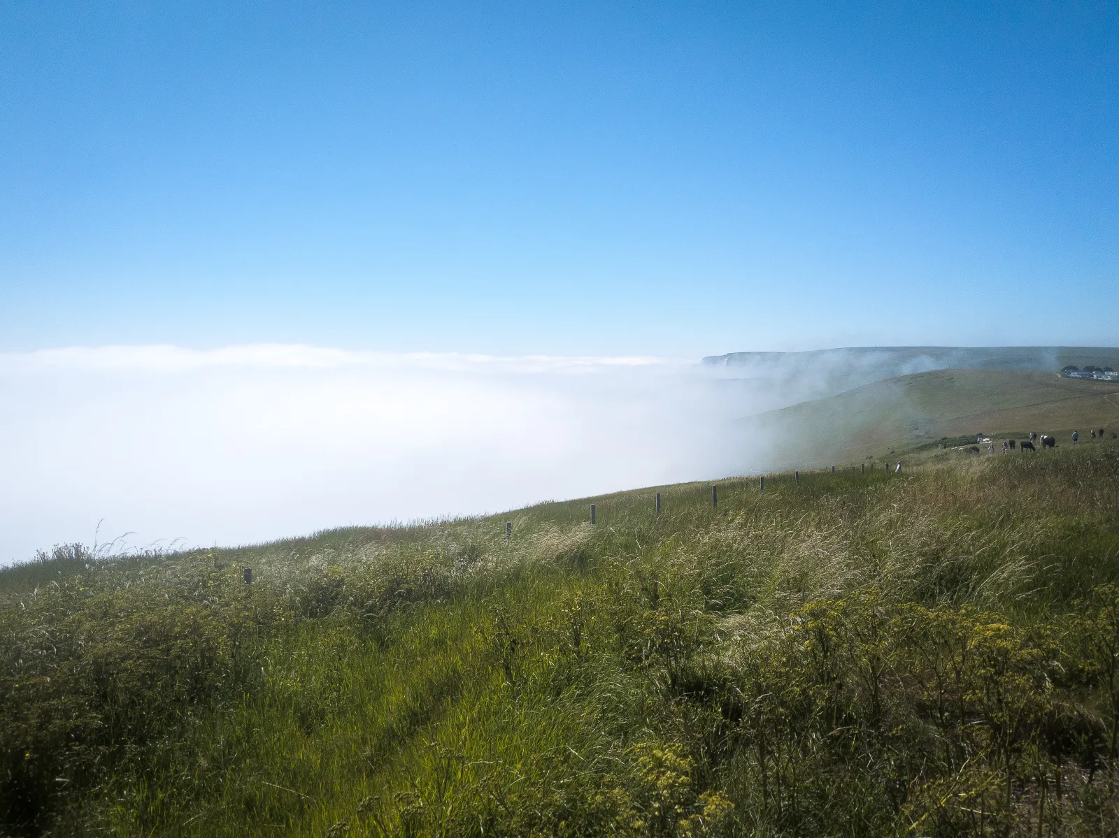 Photo at West Lulworth