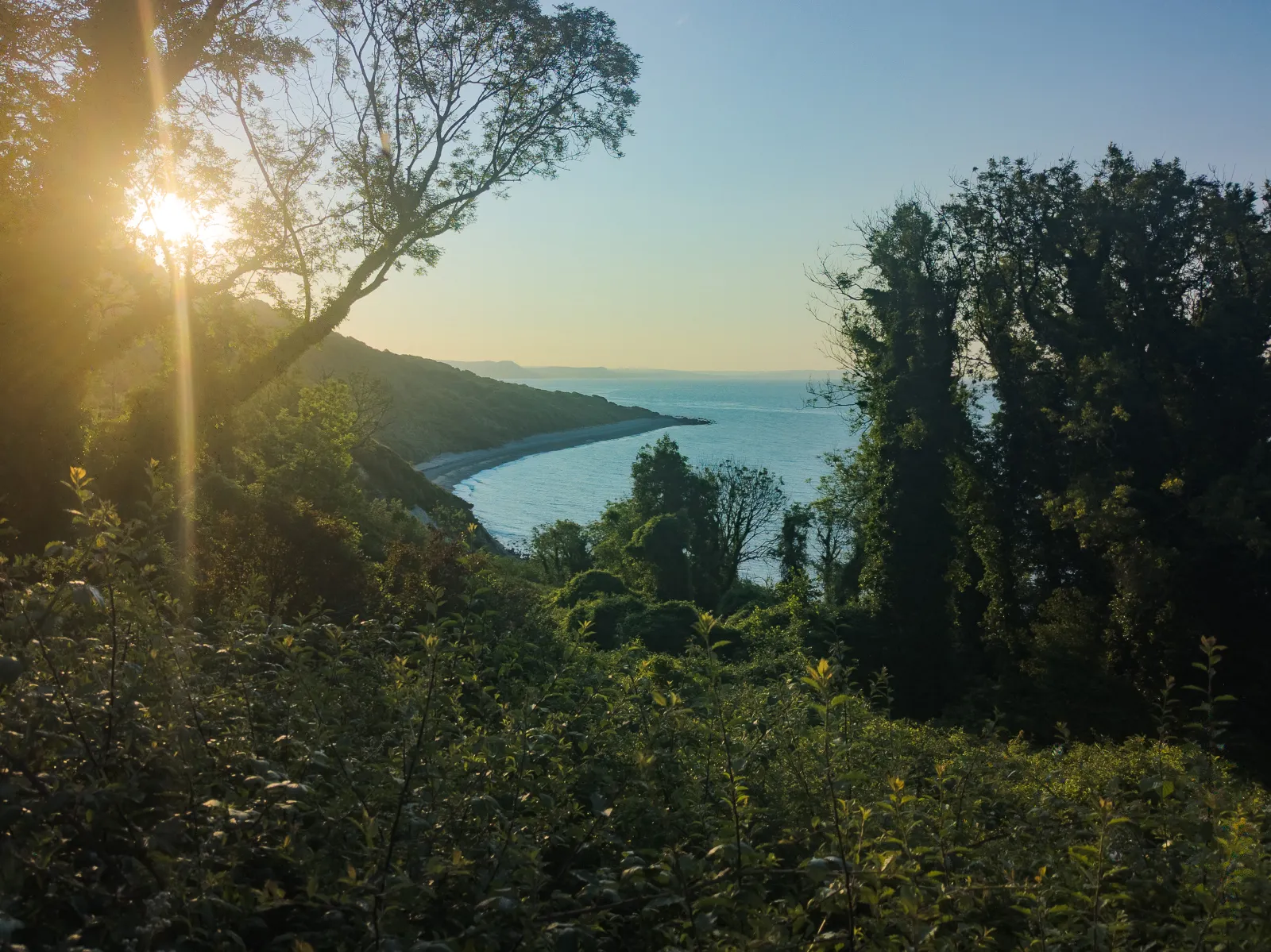 Photo at Rousdon