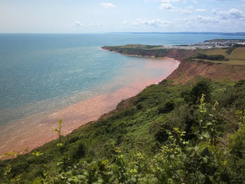 Photo at Budleigh Salterton