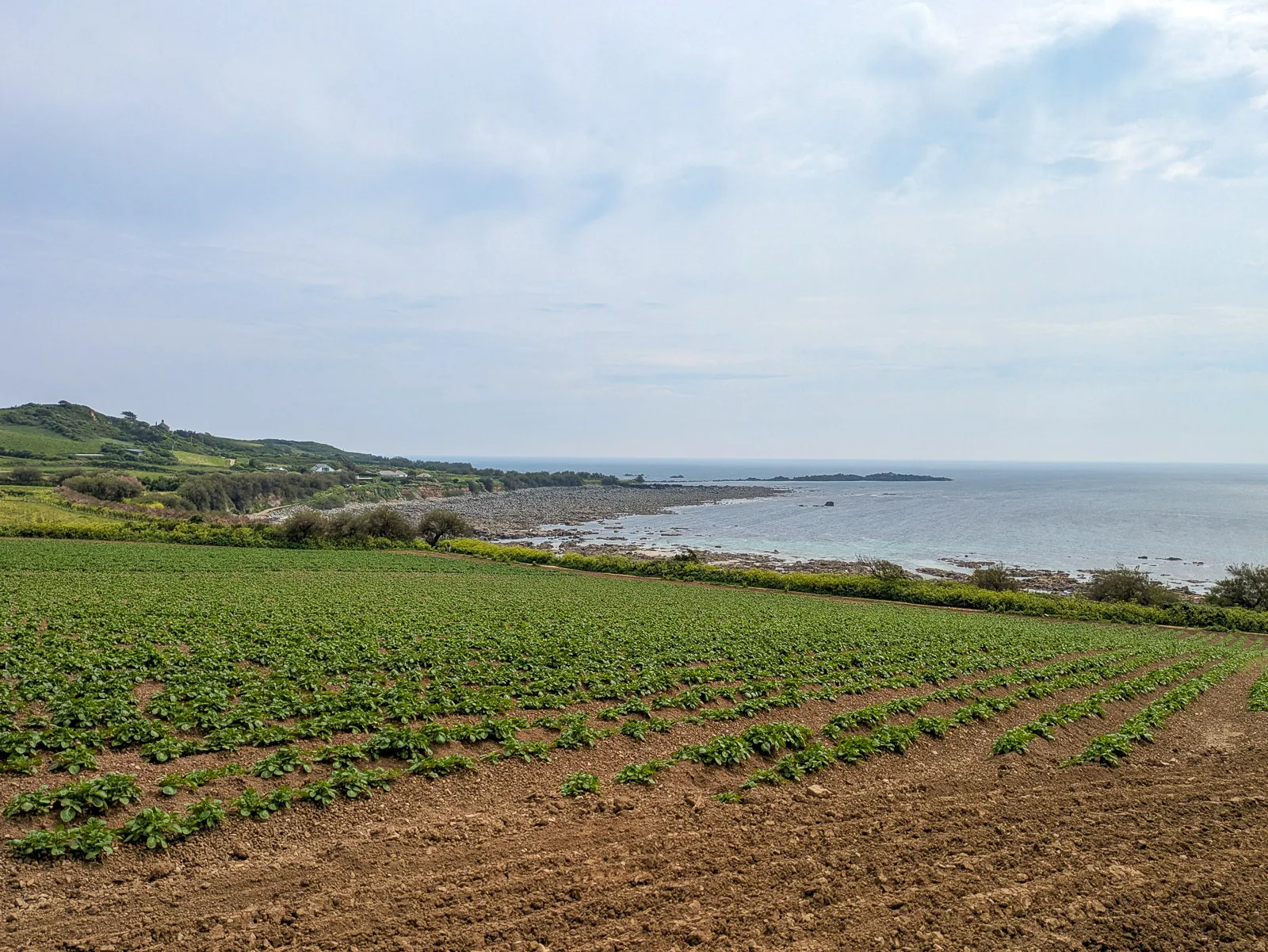 Photo at Marazion