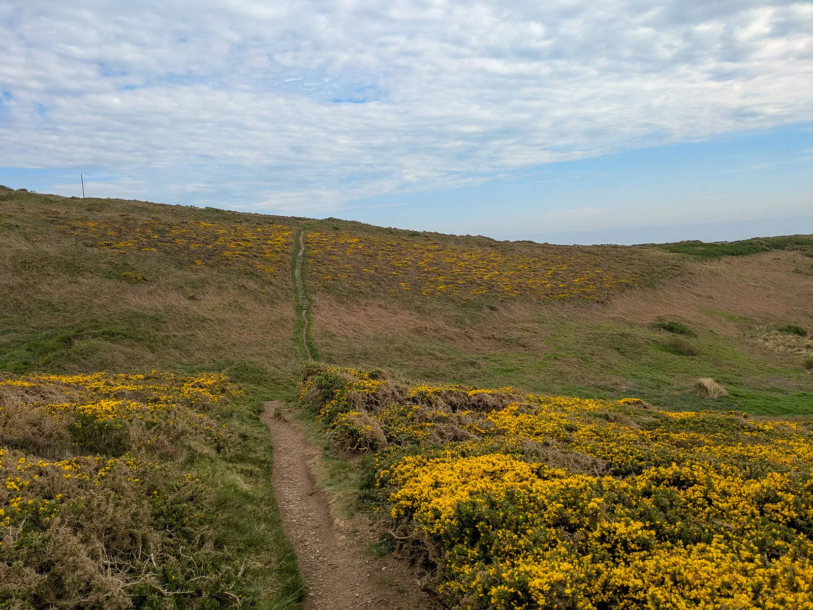 Photo at Rinsey