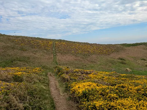 Photo at Rinsey