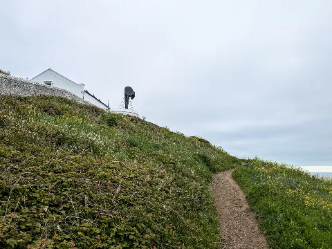 Photo at The Lizard
