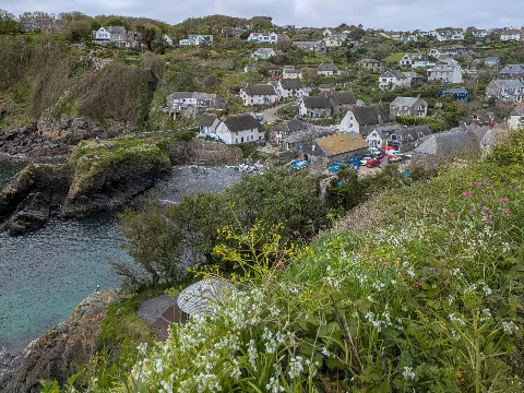 Photo at Cadgwith