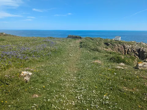 Photo at Coverack