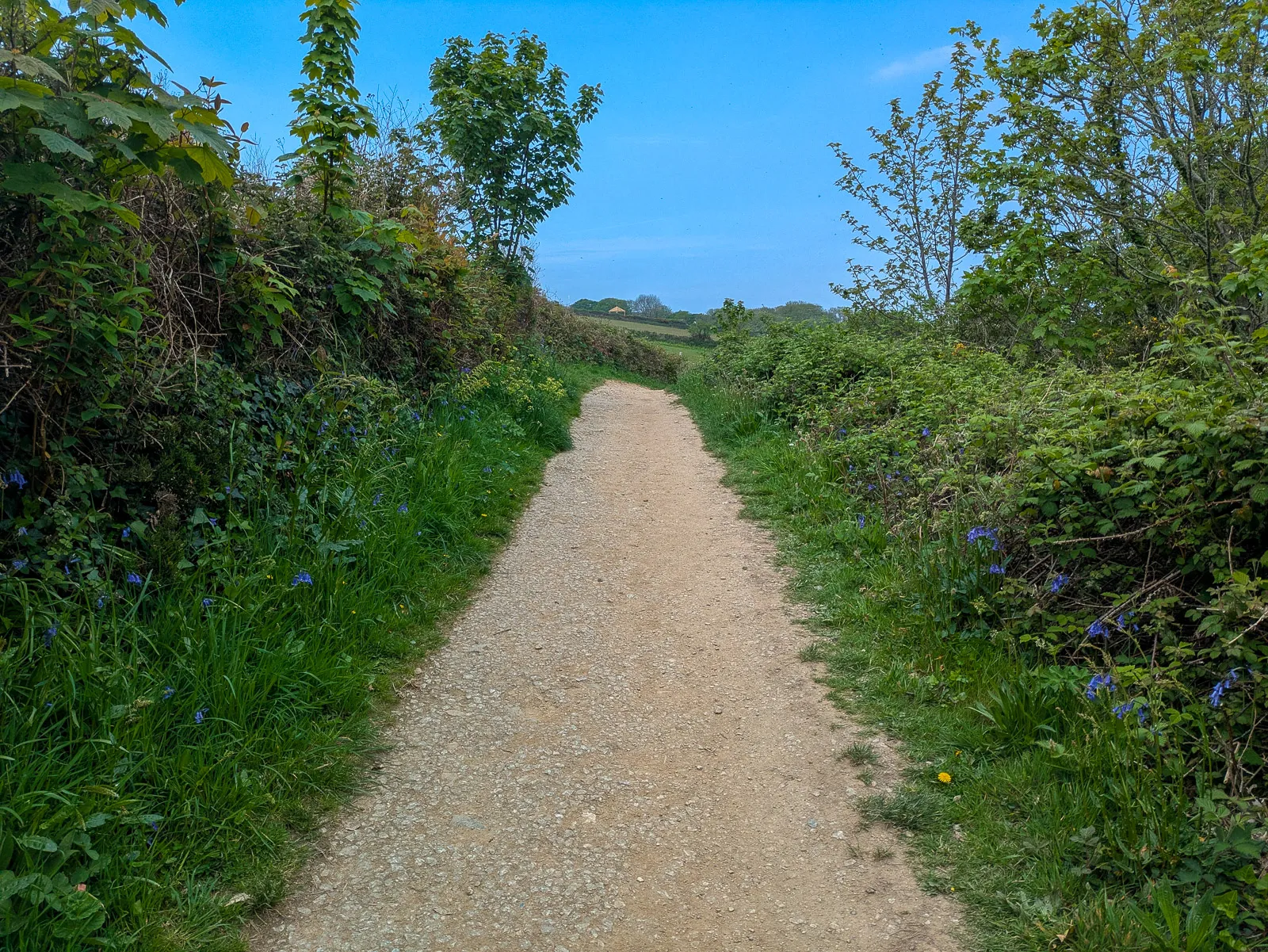 Photo at Falmouth