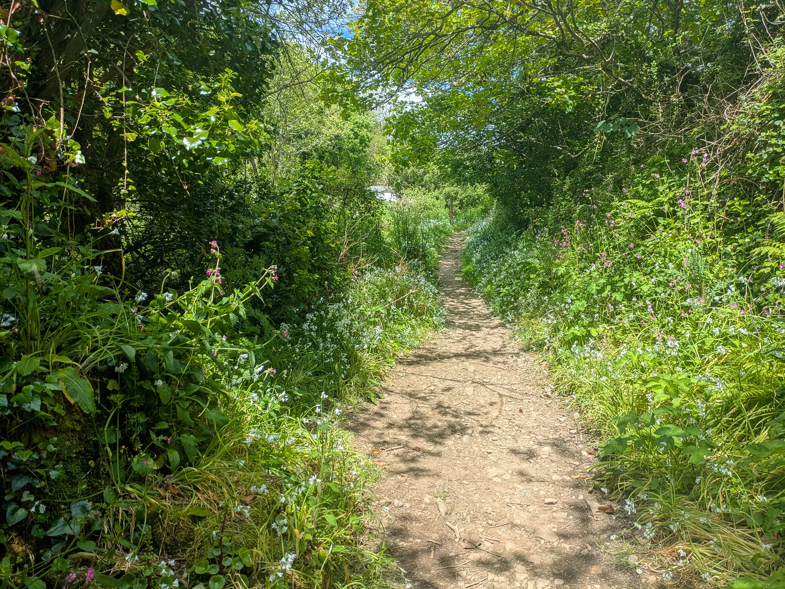 Photo at Pentewan